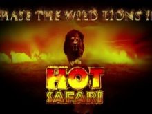 Hot Safari Online For Free