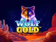 Wolf Gold online for free